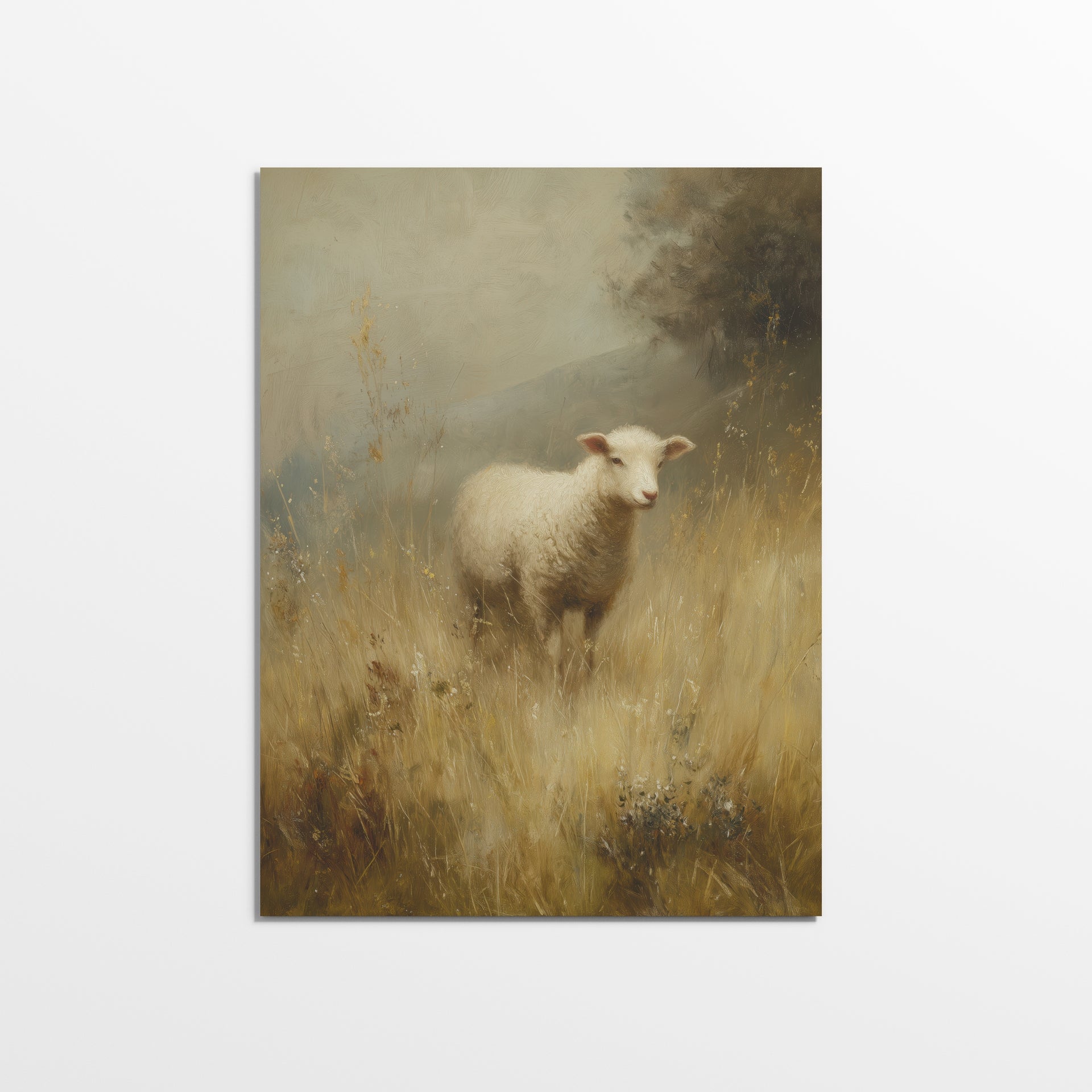 Lamb in the Field
