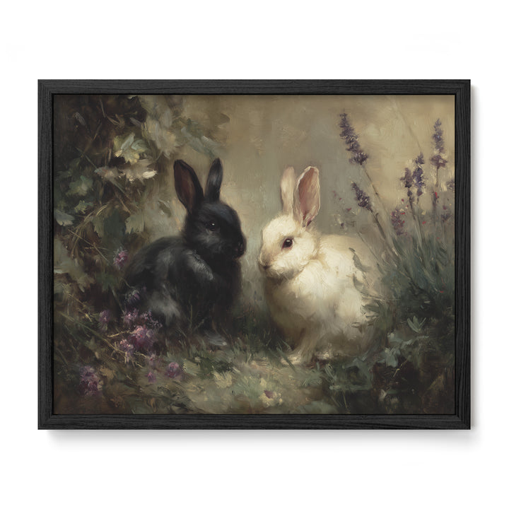 Black And White Rabbits