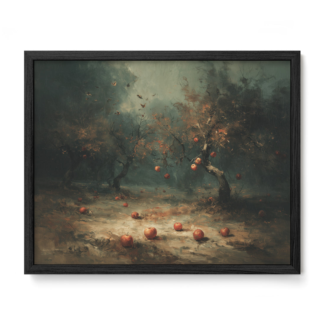 Apple Orchard In Fog