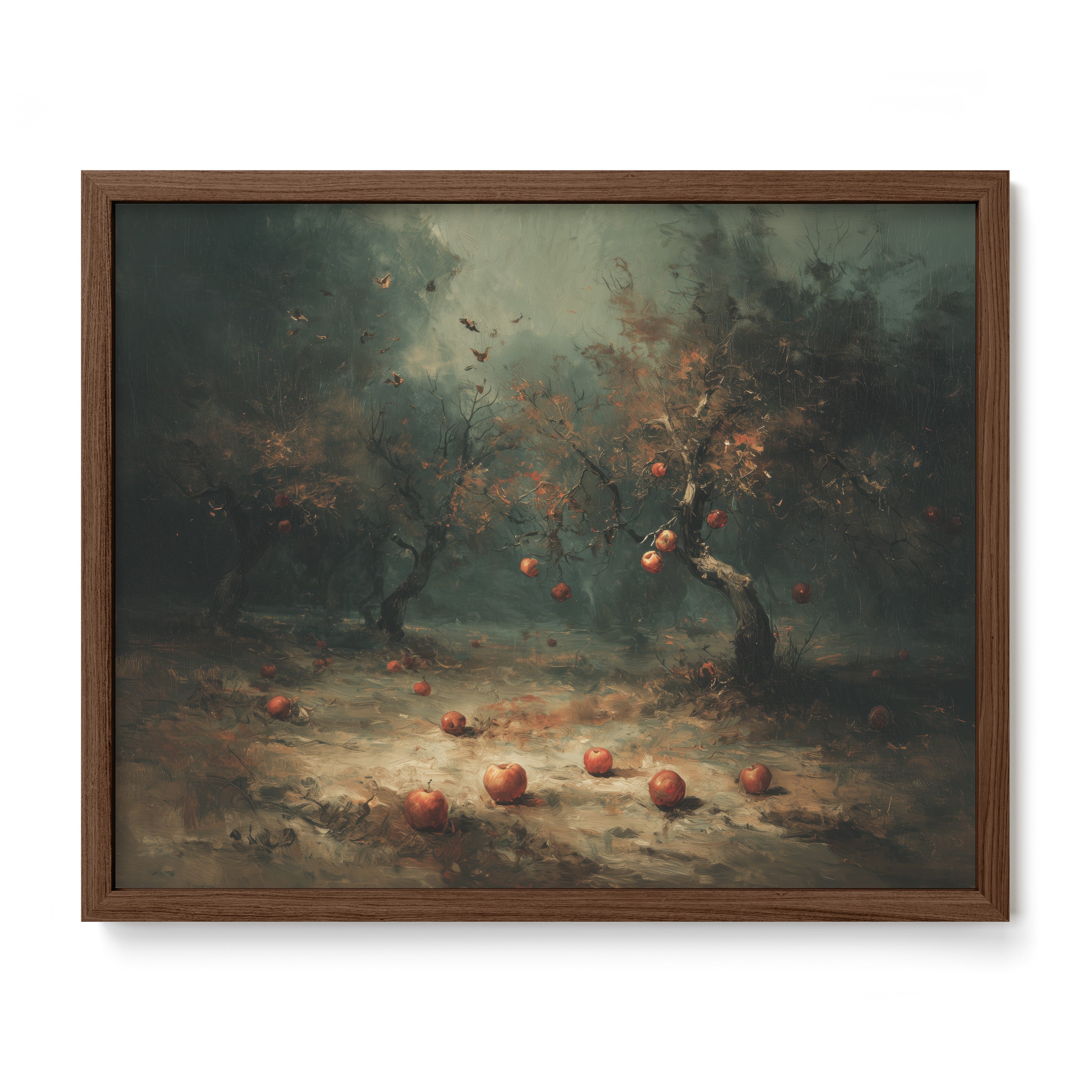 Apple Orchard In Fog