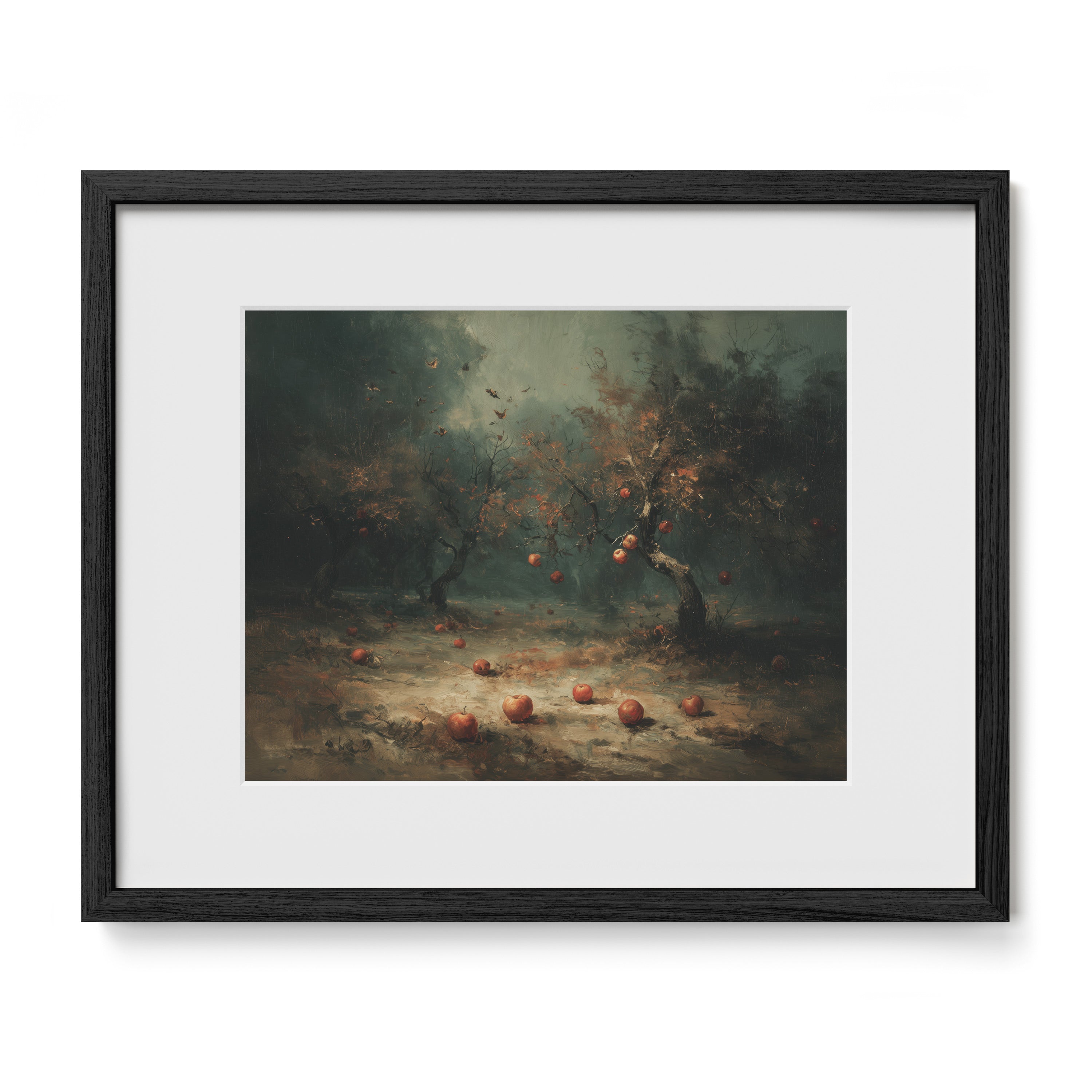 Apple Orchard In Fog