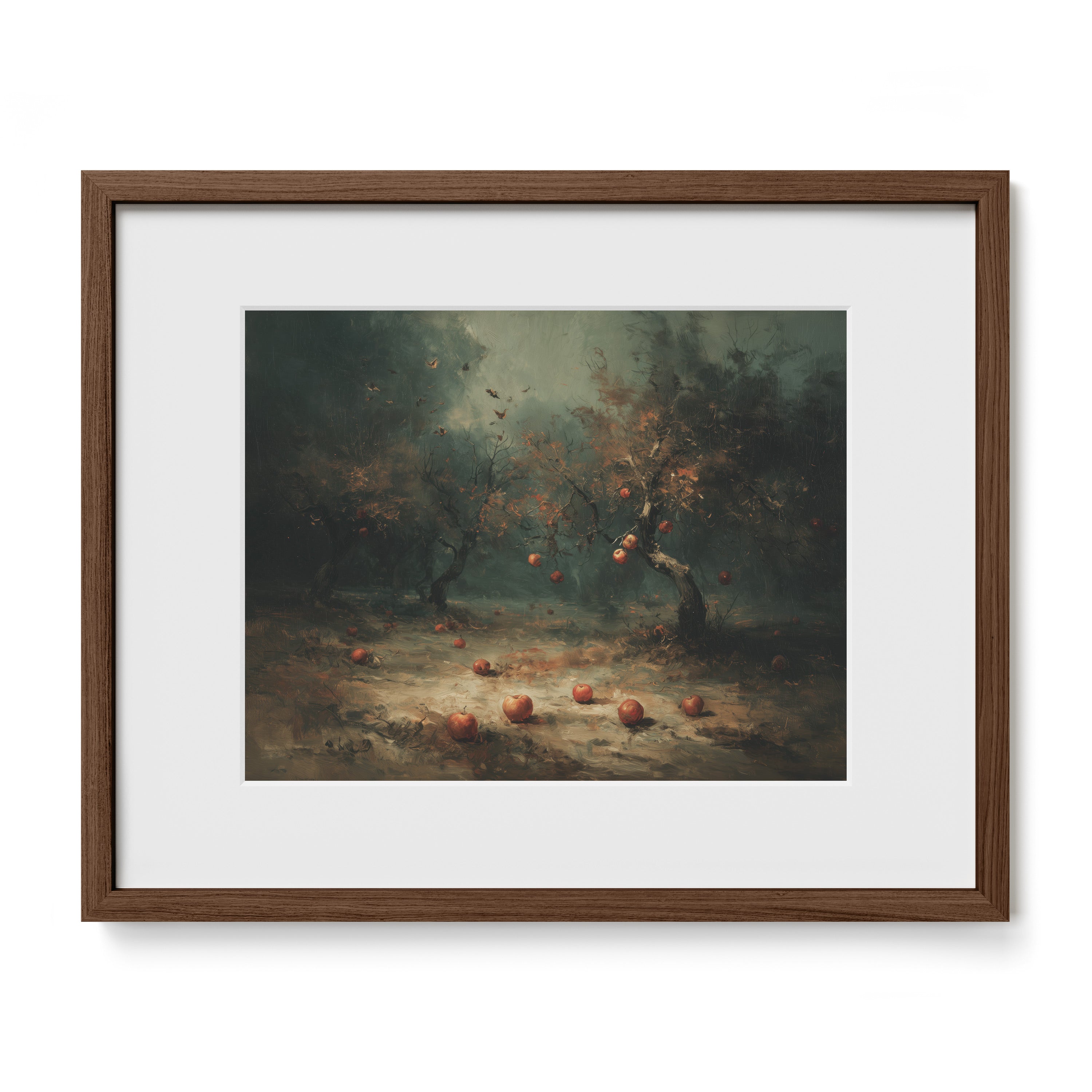 Apple Orchard In Fog