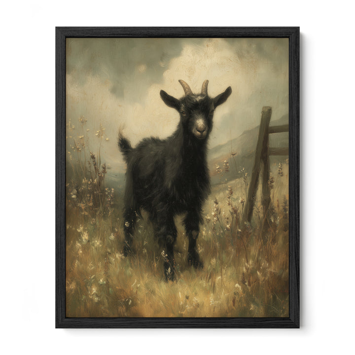 Black Goat In Meadow