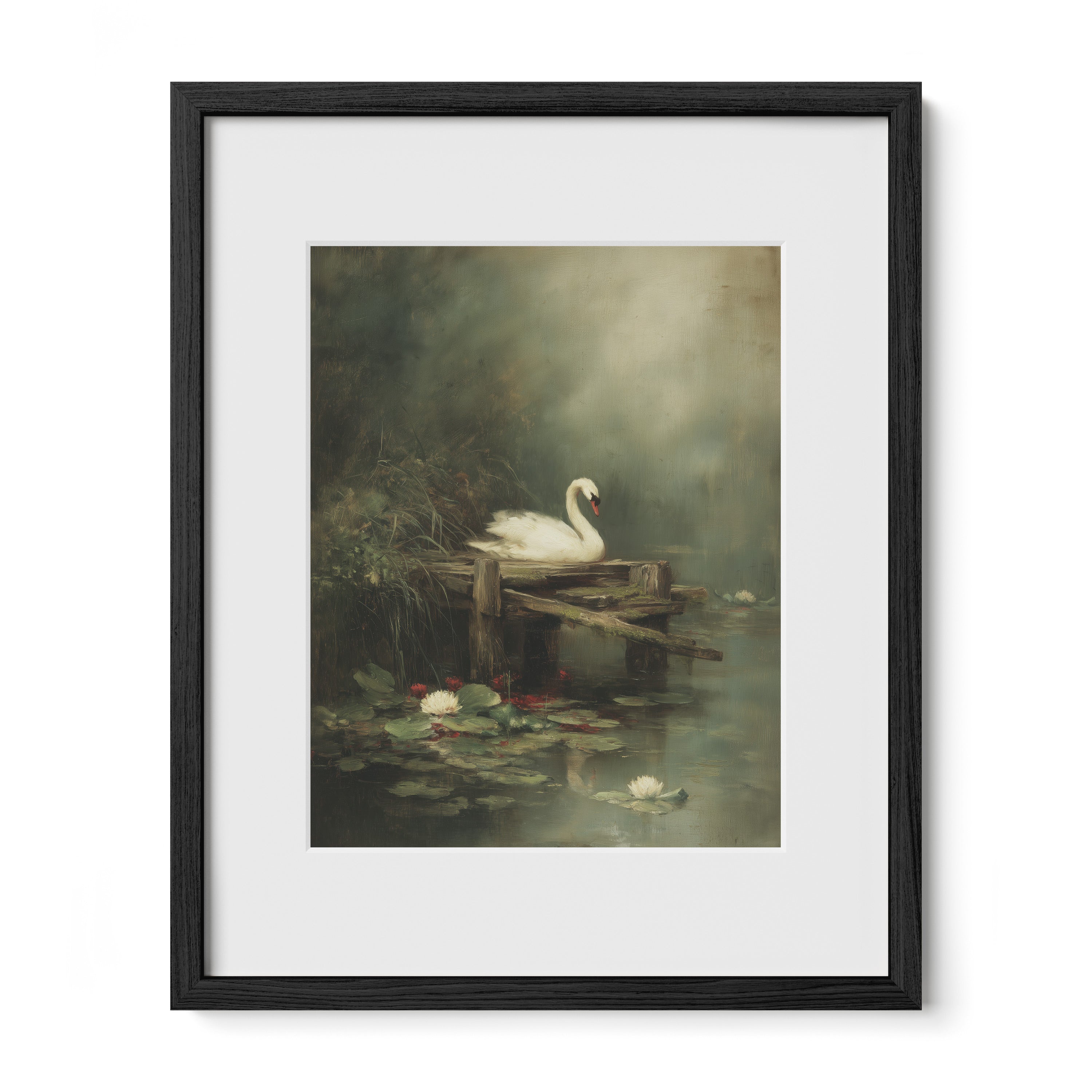 Swan By Lily Dock