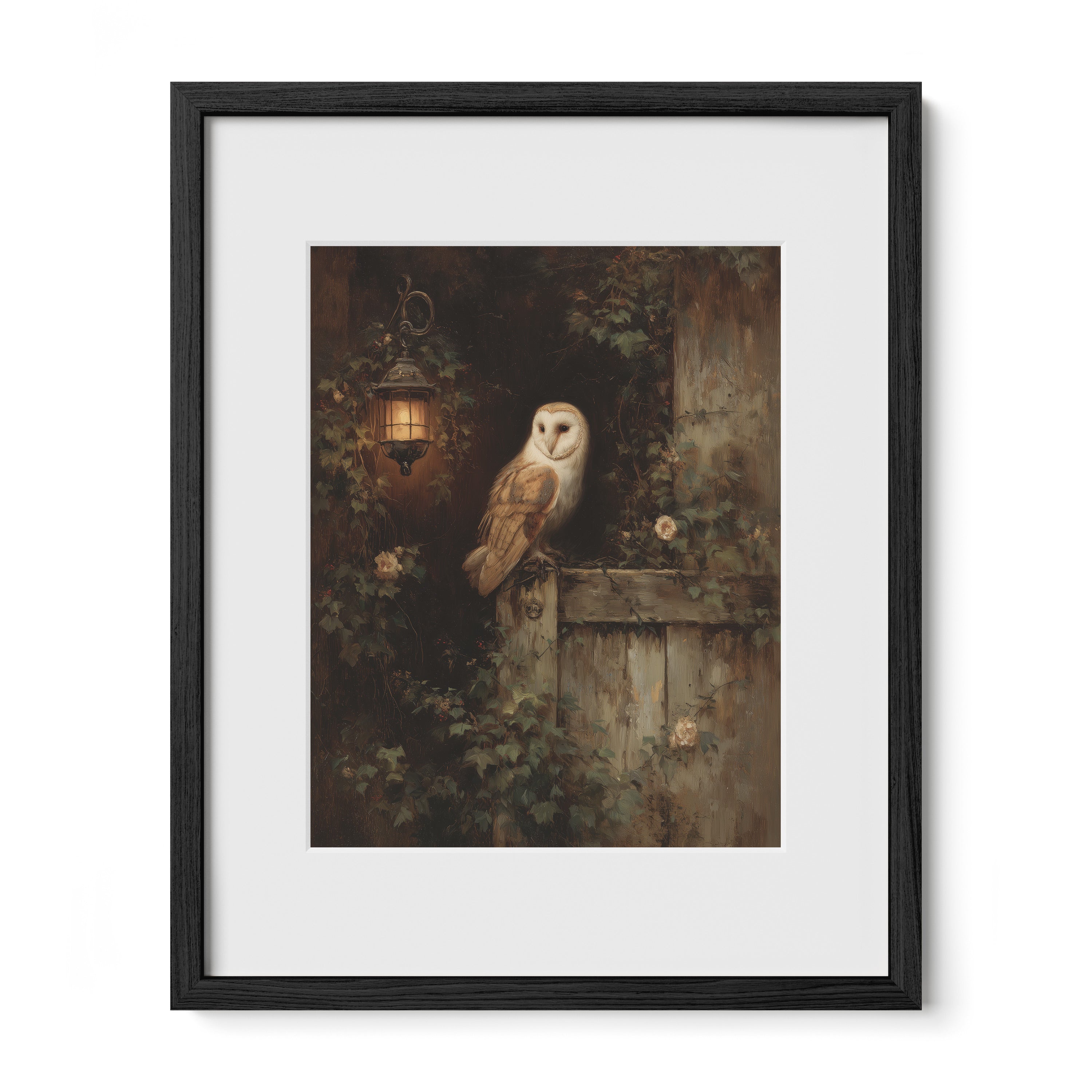 Barn Owl By Lantern