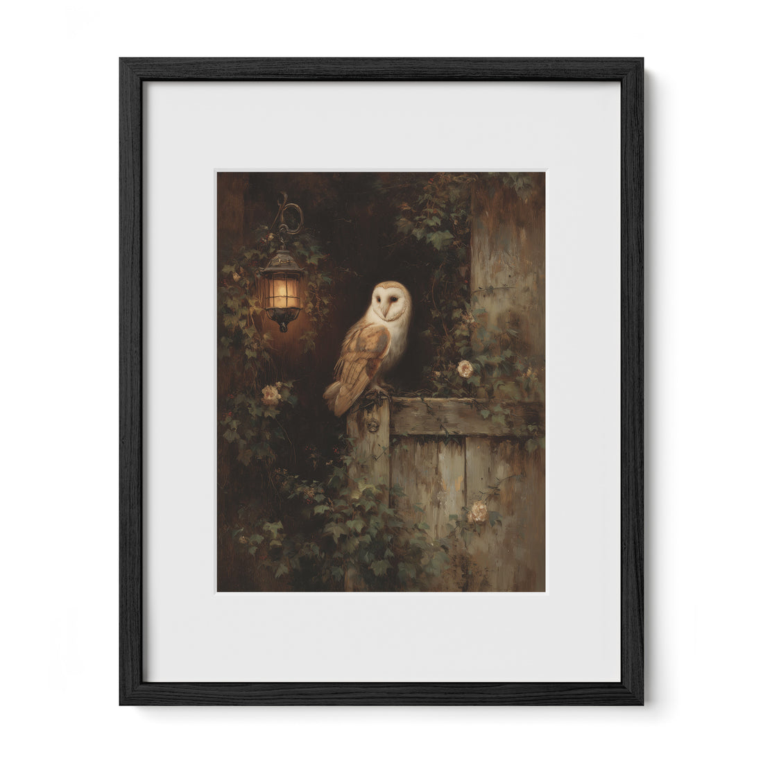 Barn Owl By Lantern