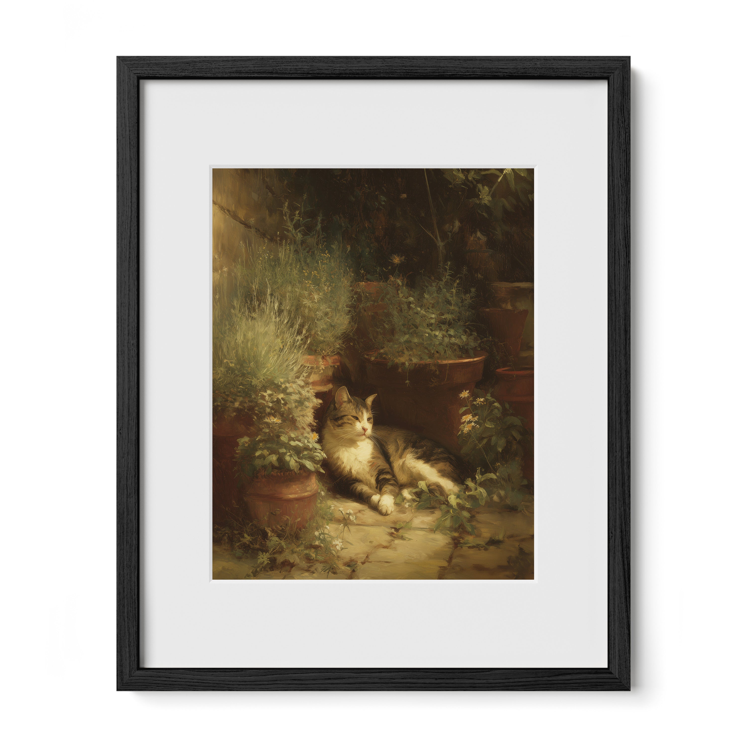 Garden Cat In Shadow