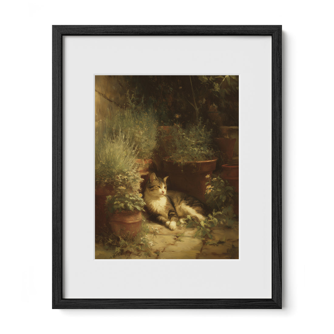 Garden Cat In Shadow