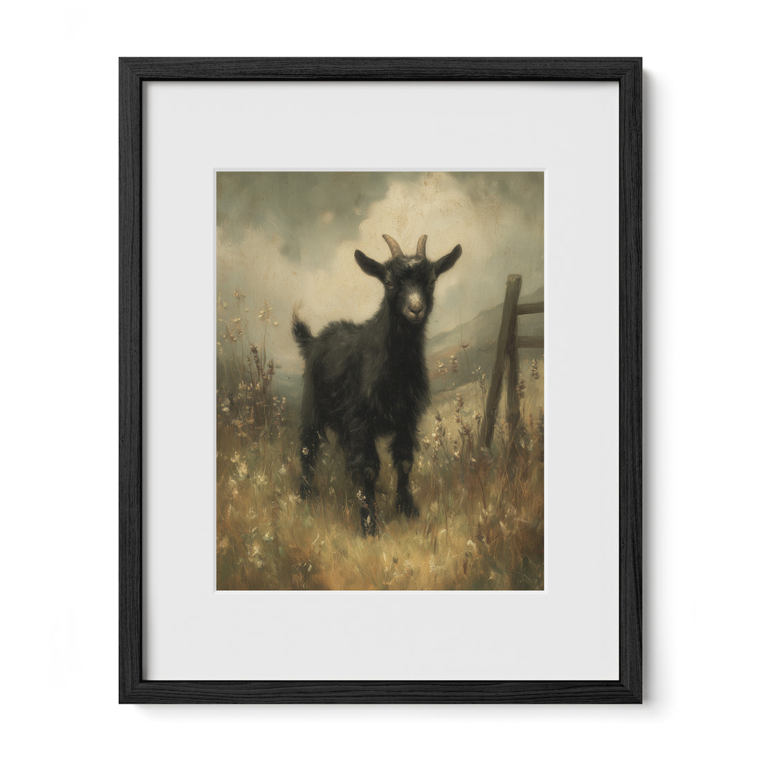 Black Goat In Meadow