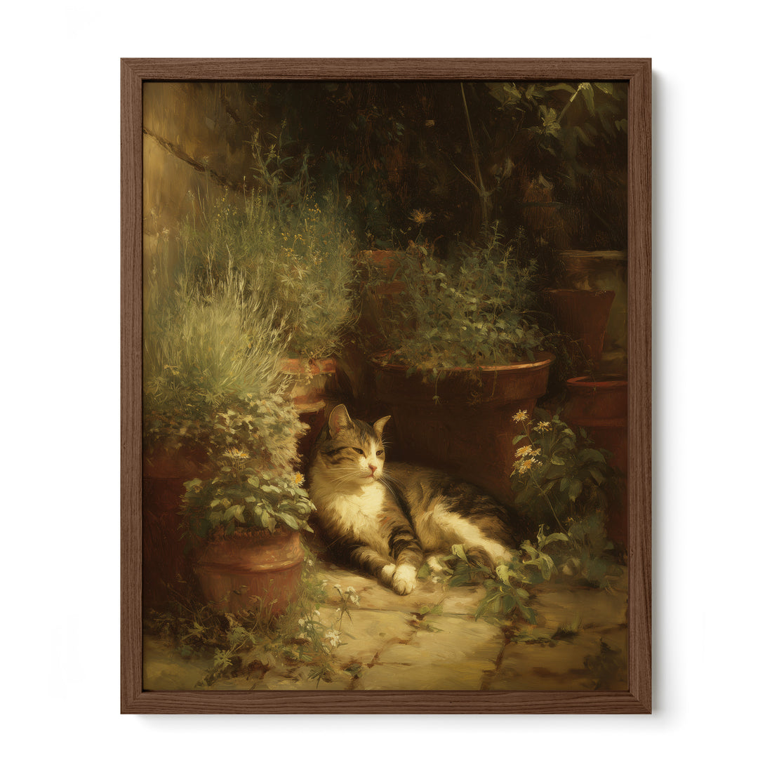 Garden Cat In Shadow