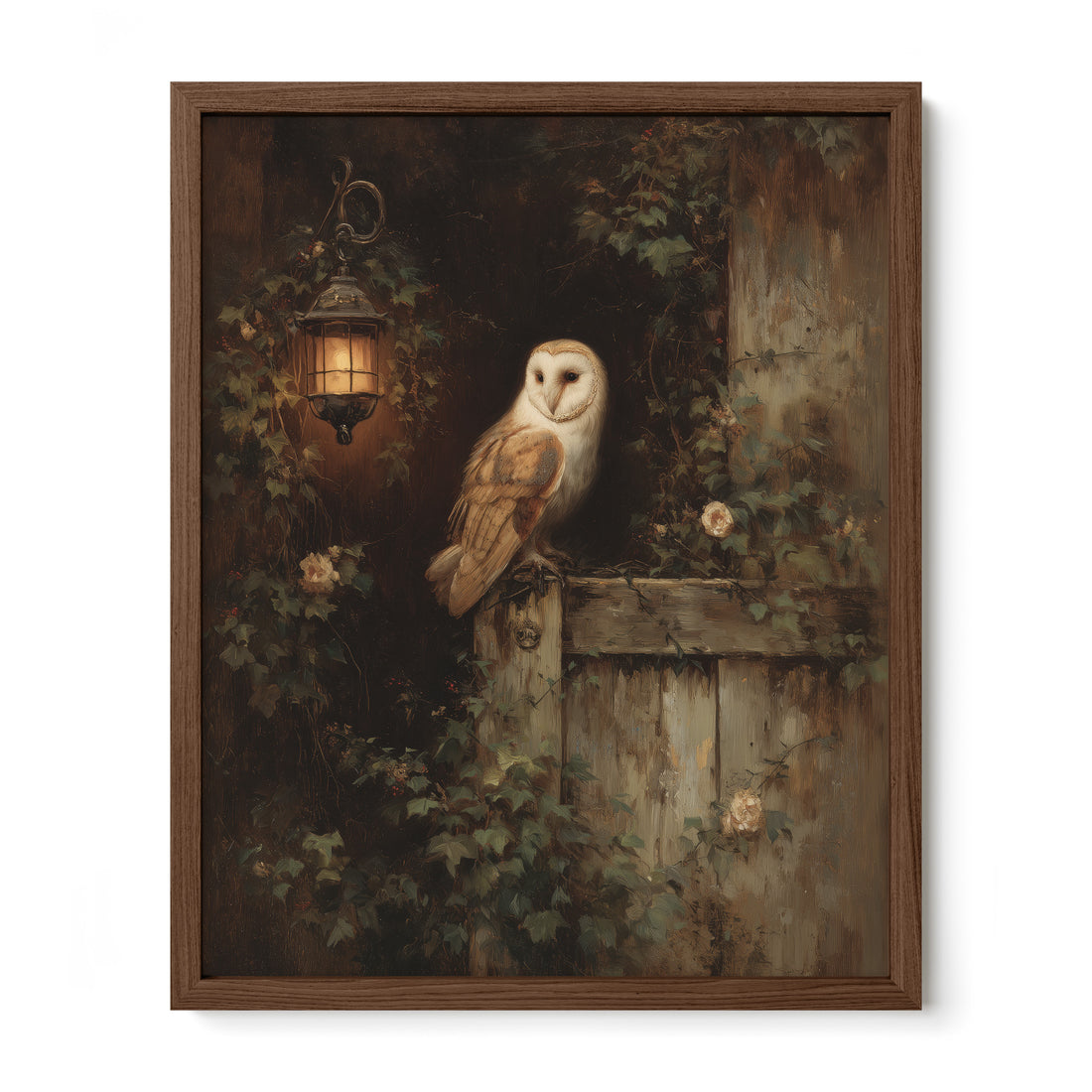 Barn Owl By Lantern