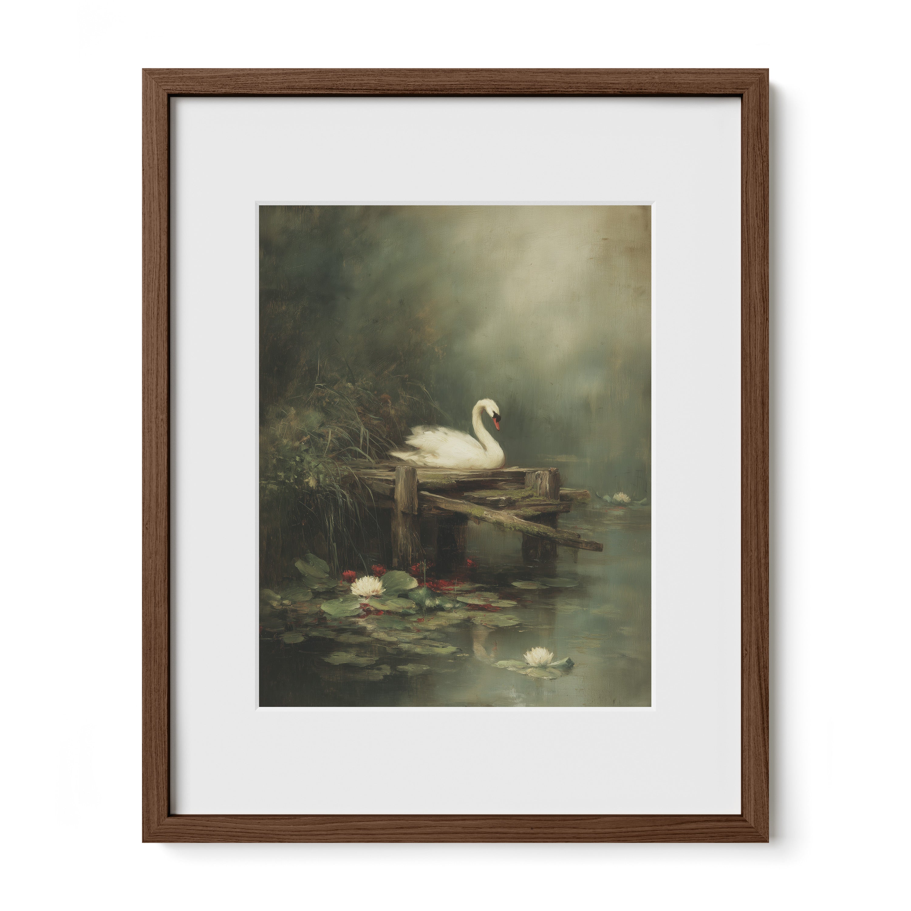 Swan By Lily Dock