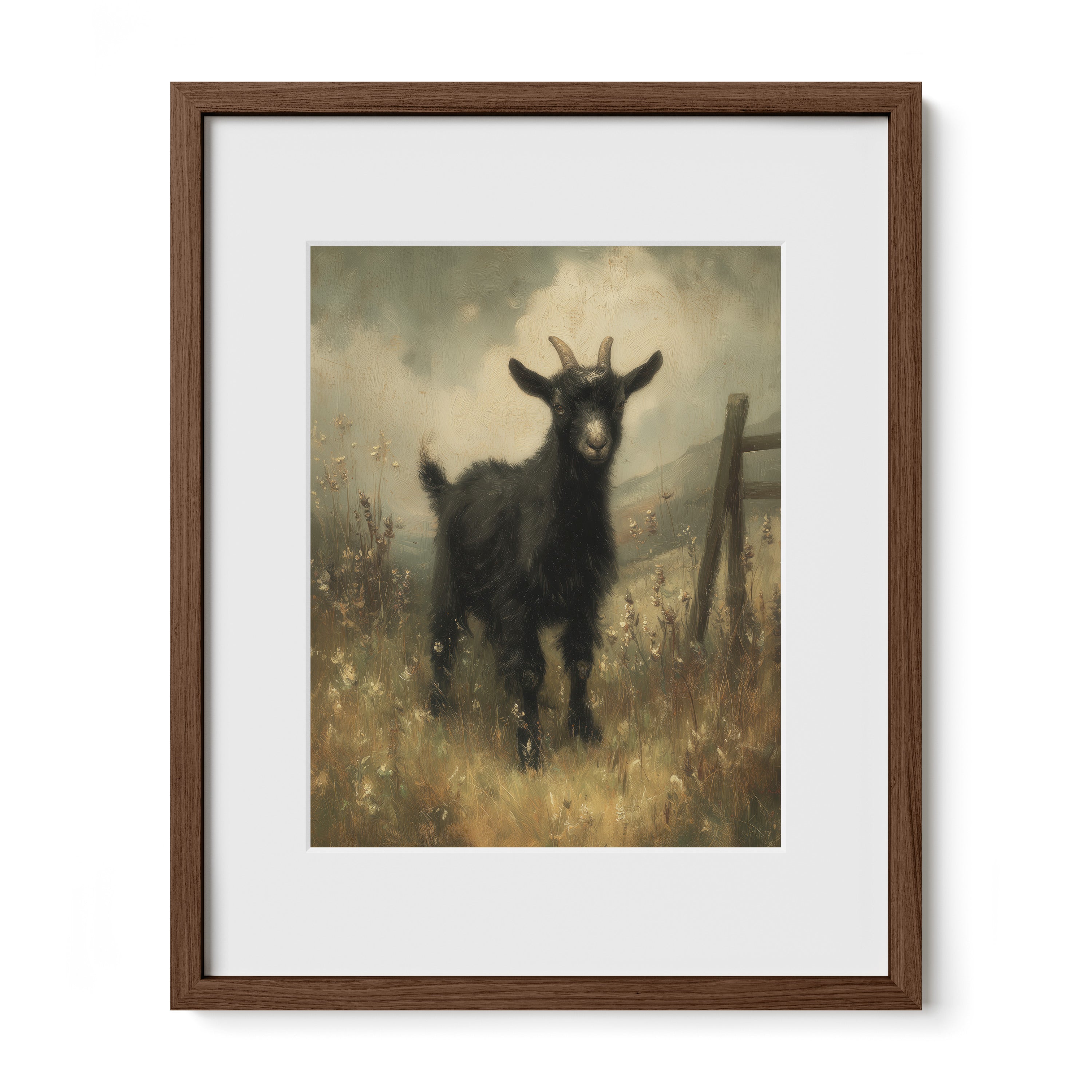 Black Goat In Meadow