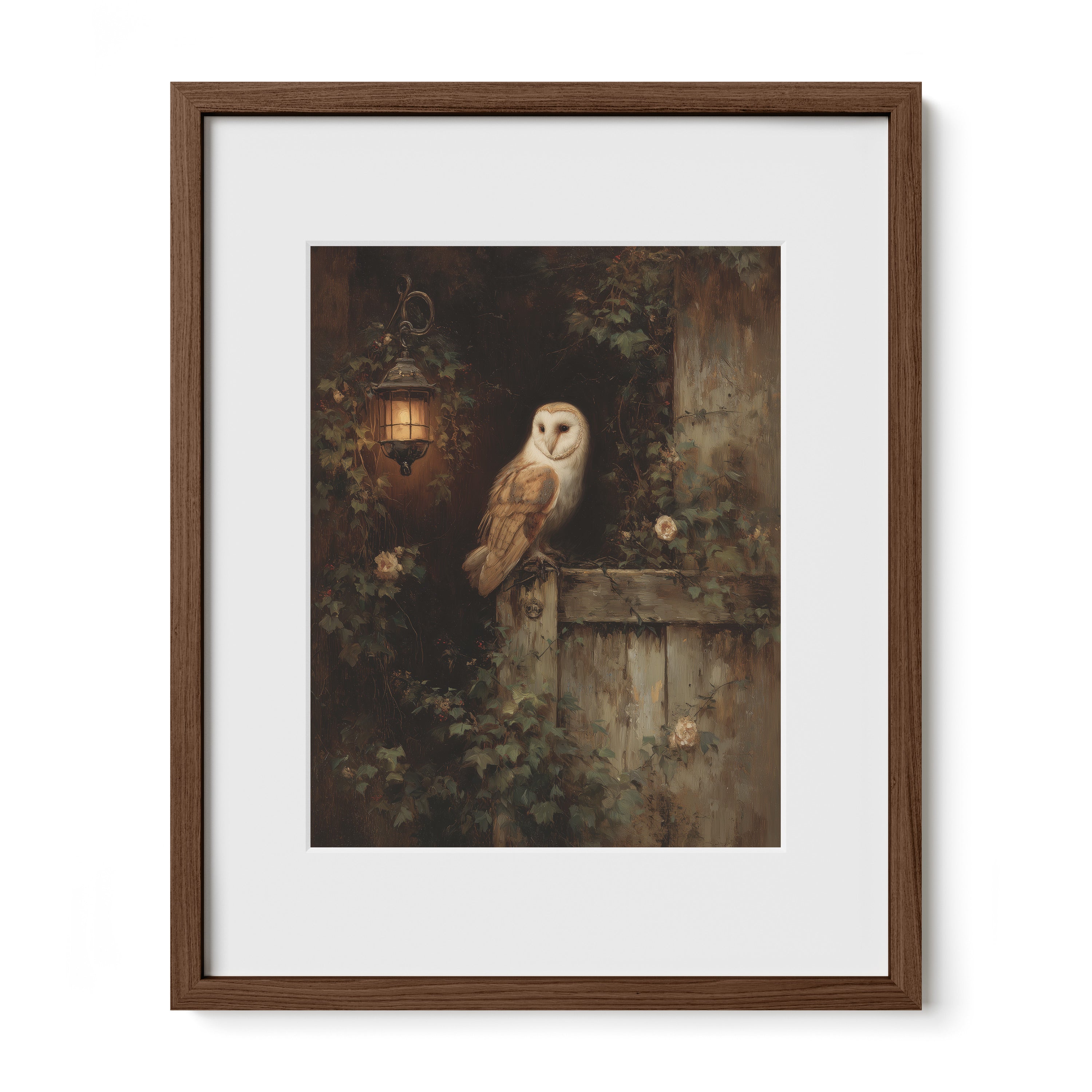 Barn Owl By Lantern