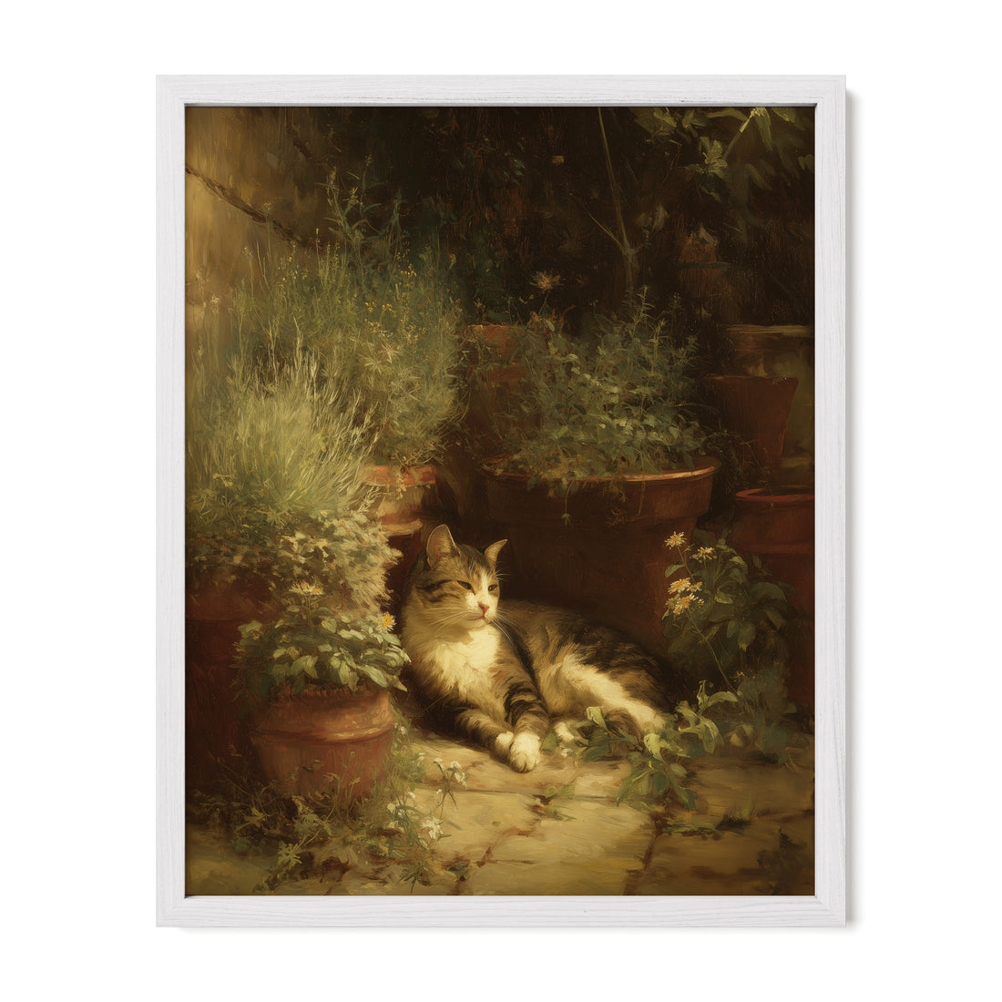 Garden Cat In Shadow