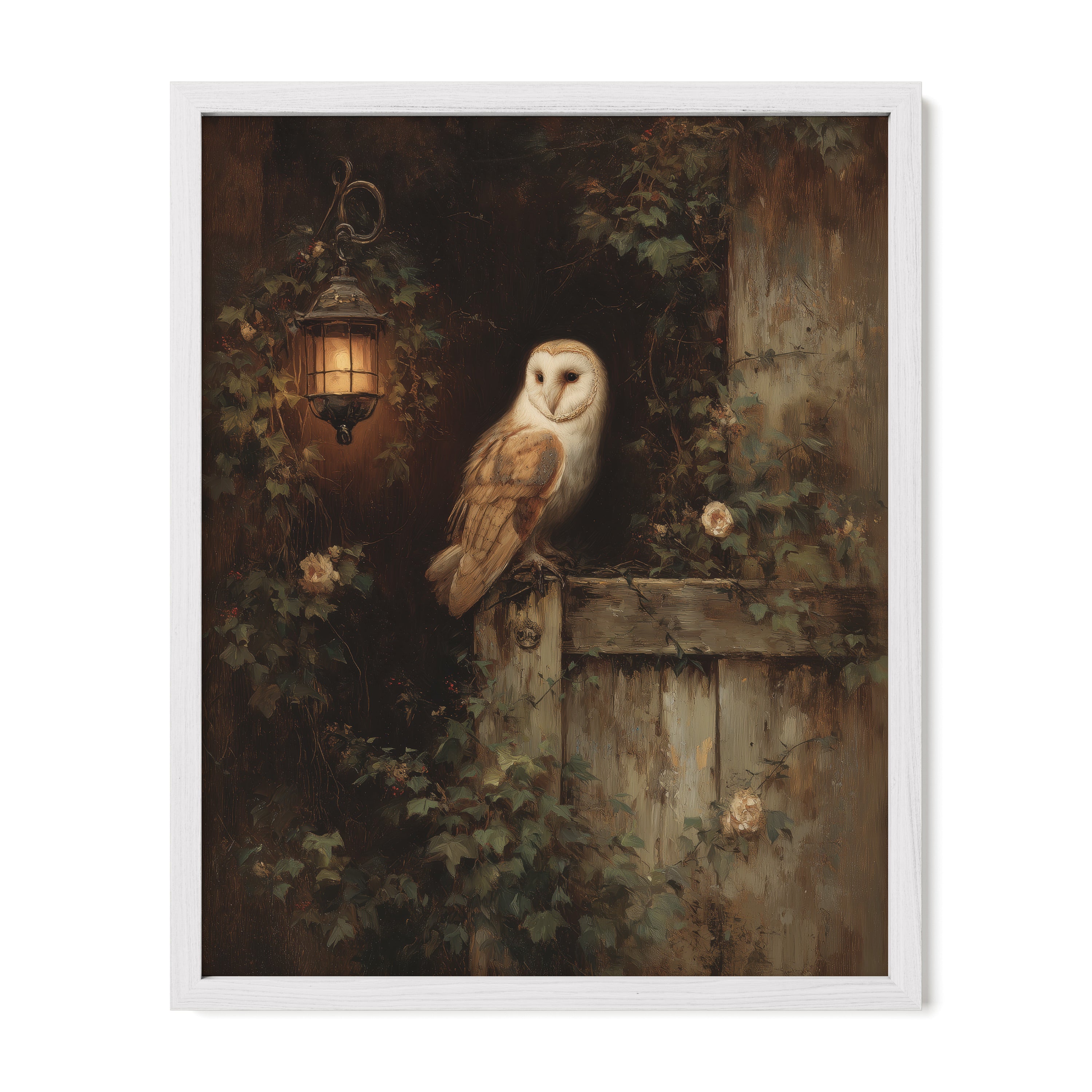 Barn Owl By Lantern