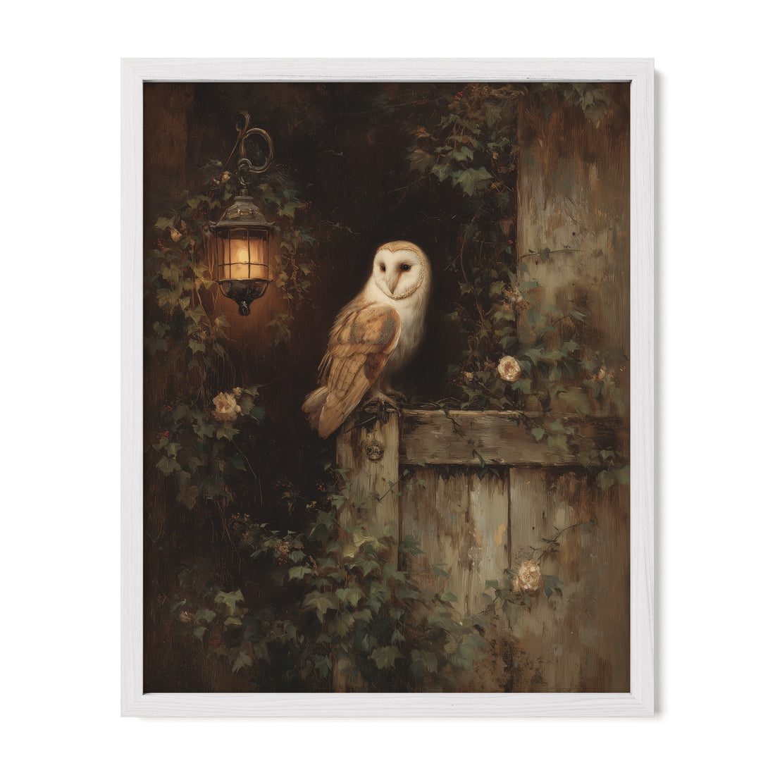 Barn Owl By Lantern