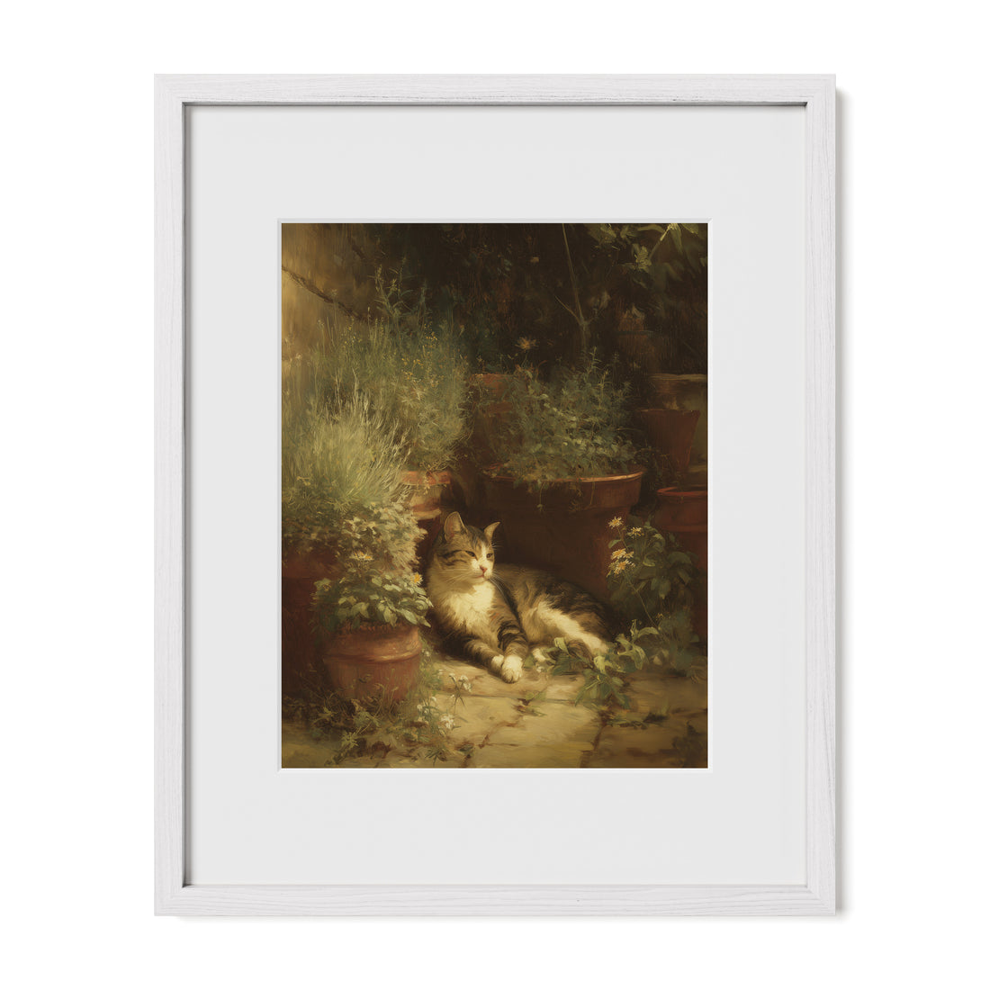 Garden Cat In Shadow