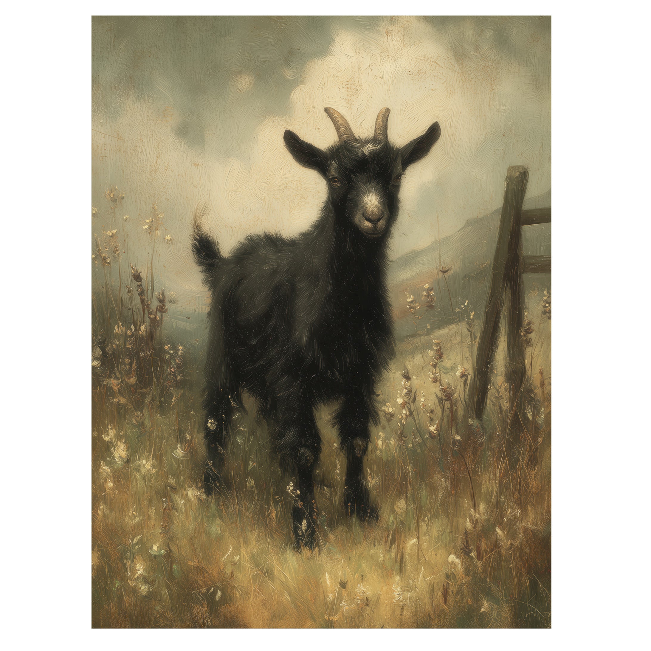 Black Goat In Meadow