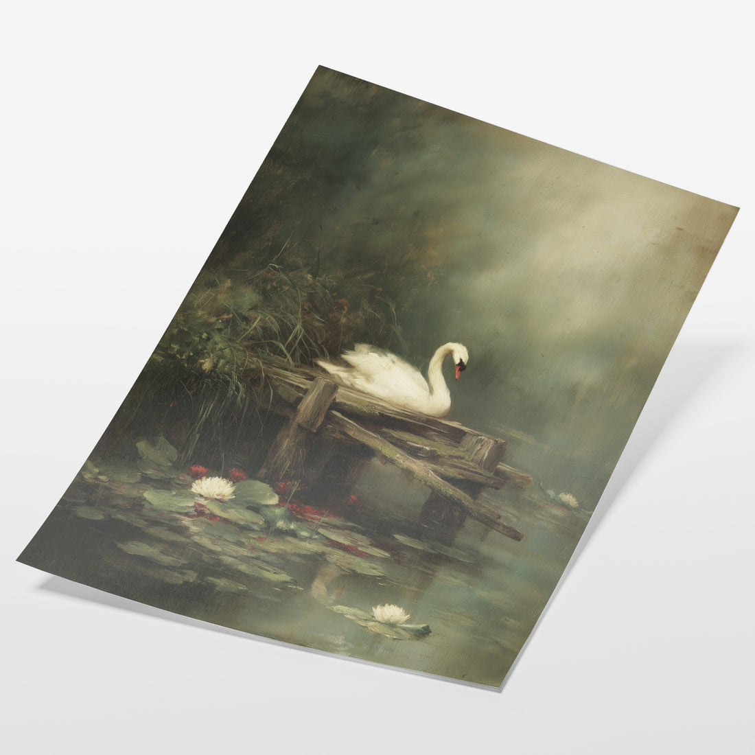 Swan By Lily Dock
