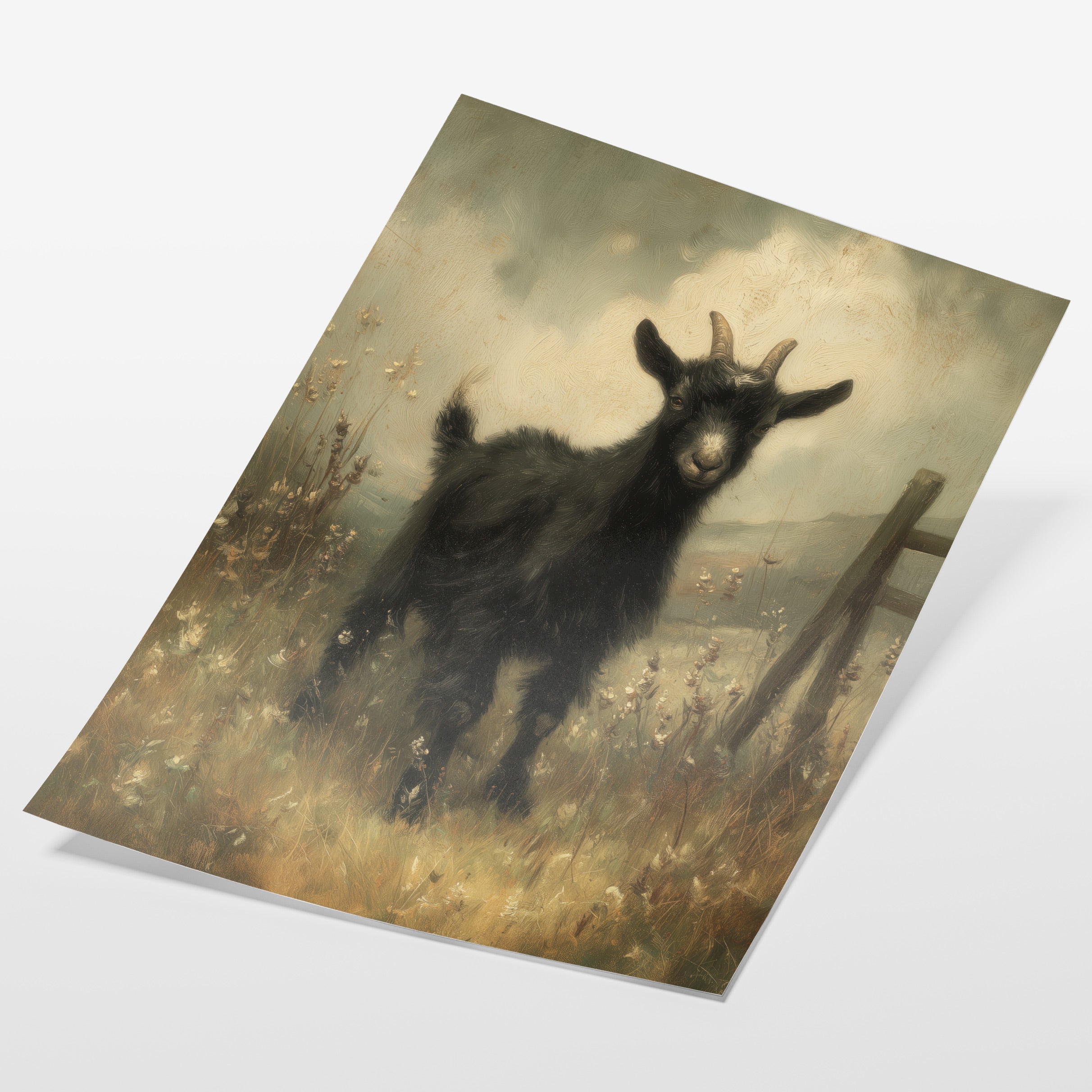 Black Goat In Meadow