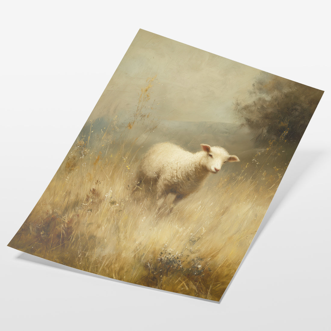 Lamb in the Field