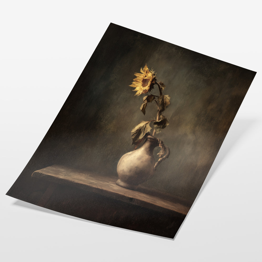 Sunflower In Decay