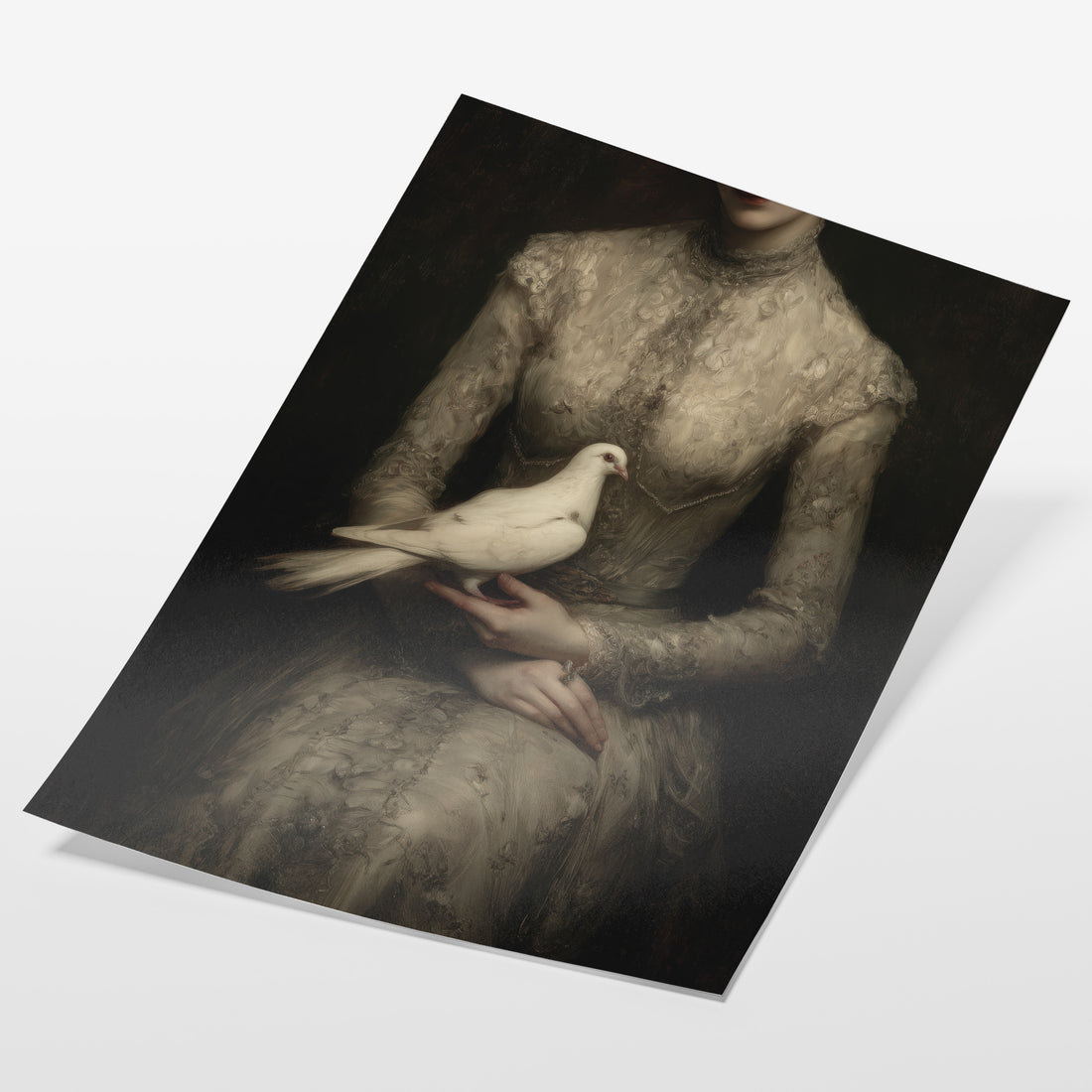 White Dove and Lace