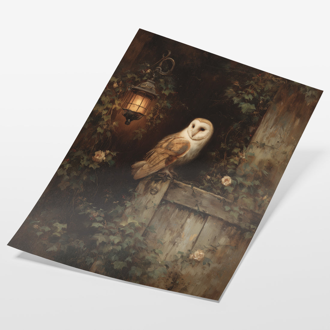 Barn Owl By Lantern