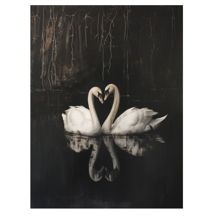 gothic swan reflection wall art print with two swans mirrored on dark water