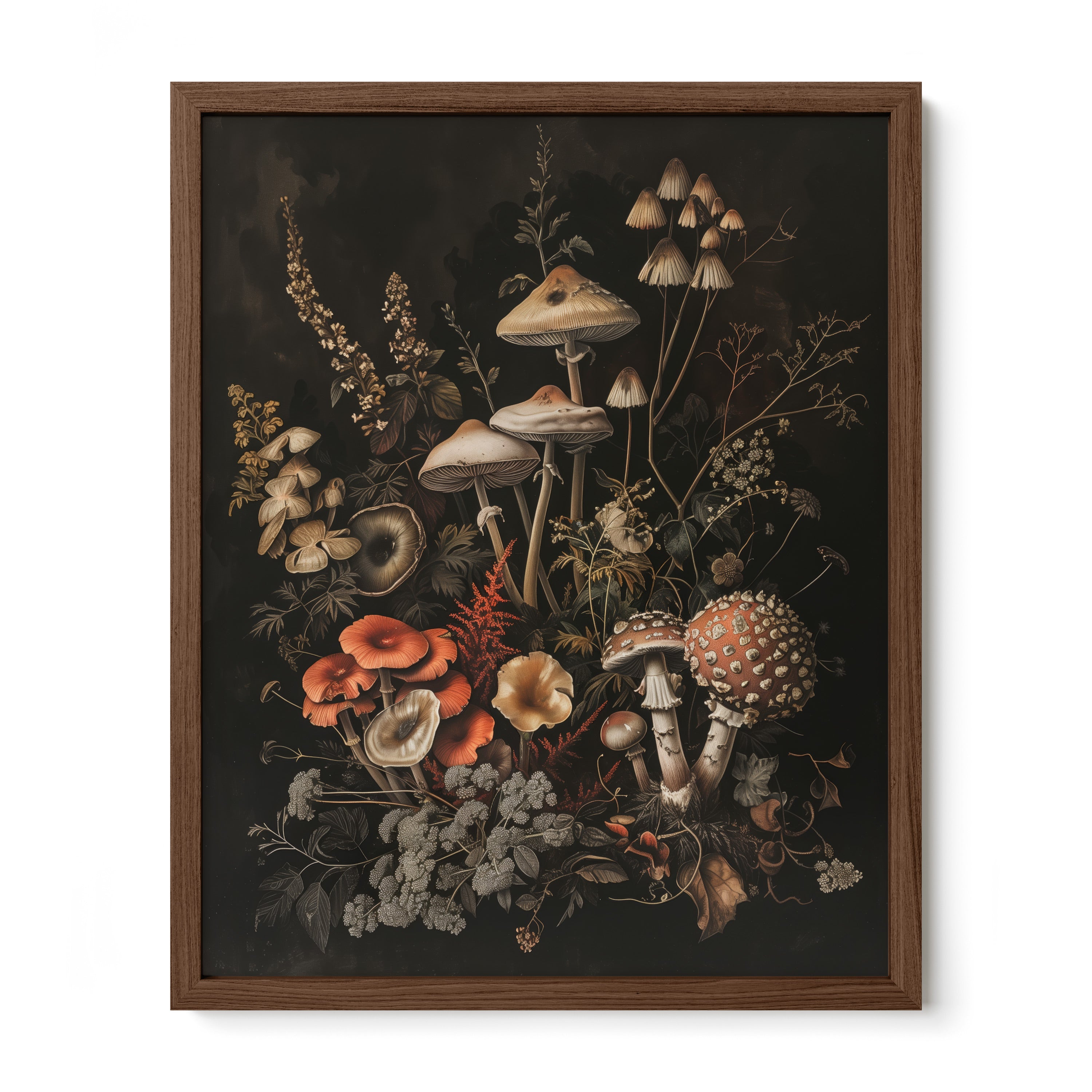 walnut framed dark botanical fungi wall art print