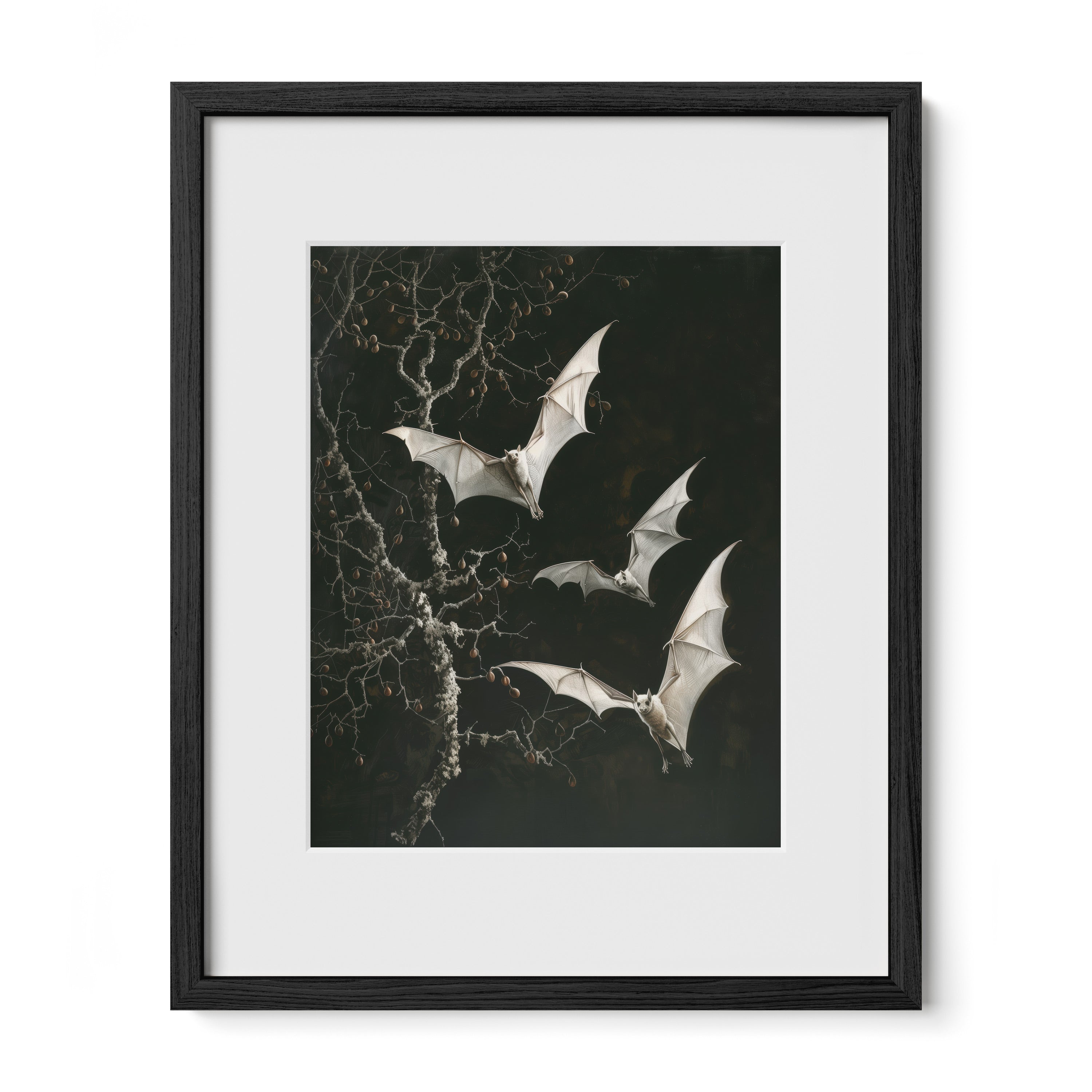 black framed nocturnal bat wall art print with mat